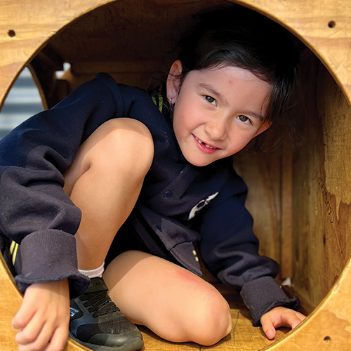 PMP activity schedule